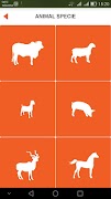 Feedmaster screenshot 1