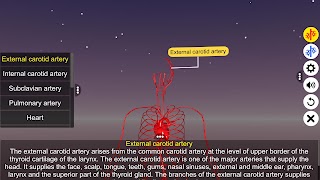 Circulatory system capture d'écran 3