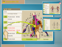 4 Schermata Easy Anatomy 3D - learn anatom