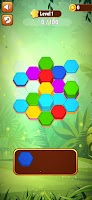Hexa Color Match Puzzle Game تصوير الشاشة 3
