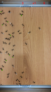 Angry Ants screenshot 2