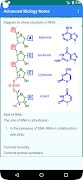 Advanced Level Biology poster