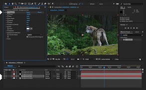 Adobe After Effects Course स्क्रीनशॉट 1
