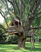 Tree House projeto imagem de tela 2