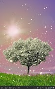 Spring Trees Live Wallpaper 截图 4