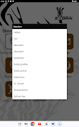 Fahrschule Zebra 截图 7
