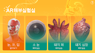 AR 해부실험실 Cartaz