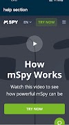 mSpy screenshot 2