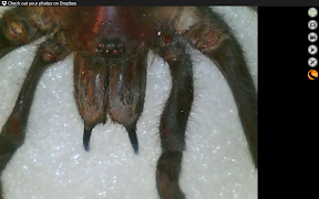 Micro Fi screenshot 7