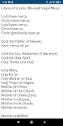 Learn Rosary স্ক্রিনশট 6