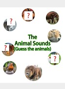 Guess Animals Sounds 截图 1