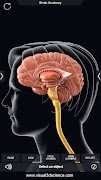 Brain Anatomy Pro. تصوير الشاشة 2