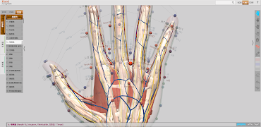 Hand Acupoint اسکرین شاٹ 1