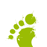 Appedibus Mosaico Siena