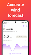 Cyclono - Wind Forecast ポスター