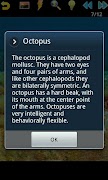 Ocean Puzzle screenshot 4