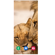 Leão Wallpaper 截圖 4