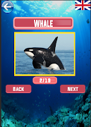 برنامه‌نما Learning Animal Names عکس از صفحه