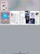 PAGE screenshot 2