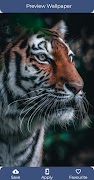 4K Wallpapers 2025 ảnh chụp màn hình 4
