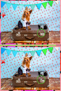 برنامه‌نما Find Differences 2017 Level 27 عکس از صفحه