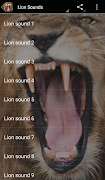 برنامه‌نما Lion Sounds عکس از صفحه