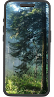 Forest Wallpapers screenshot 3