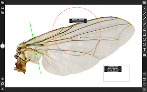 ToupView screenshot 3