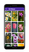 4 Schermata My Wallpaper