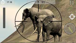 صيد الحيوانات البرية penulis hantaran