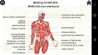 Musculation EPS screenshot 4