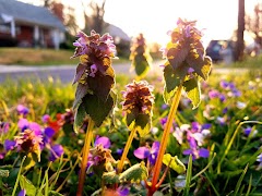 Payment Systems โปสเตอร์