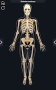 My Skeleton Anatomy ảnh chụp màn hình 2