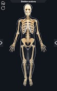 My Skeleton Anatomy 截图 2