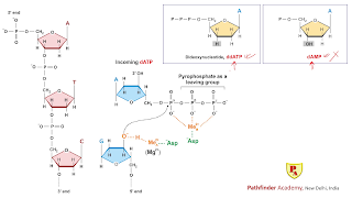 Pathfinder Academy screenshot 7