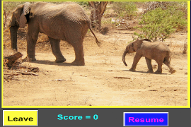 Animal Match screenshot 4