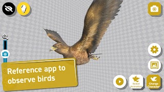 Bird 3D Reference penulis hantaran