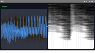 1 Schermata Voice Analyzer