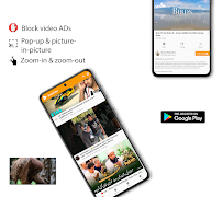 SnapVideo | Block ADs & Float penulis hantaran