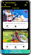 Bibi The Monkey स्क्रीनशॉट 5