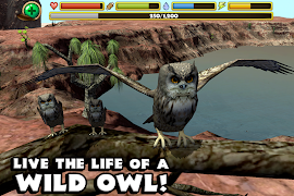 Owl Simulator स्क्रीनशॉट 1