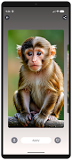 Monkey Wallpaper 4K screenshot 2