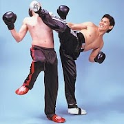 Best Kickboxing Technique screenshot 7