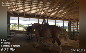 ImmichFrame captura de pantalla 4