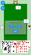 Cards With Cats poster