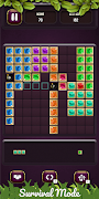 Block Puzzle : Fireball スクリーンショット 3