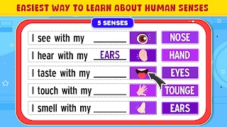 برنامه‌نما Learn English Sentence Maker عکس از صفحه