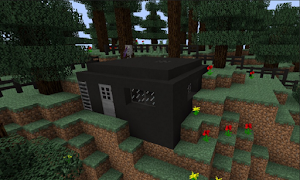 Camera Mod screenshot 1