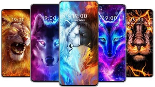 Fire Wallpaper FF screenshot 1