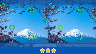 Find it: Find 500 Differences ภาพหน้าจอ 4